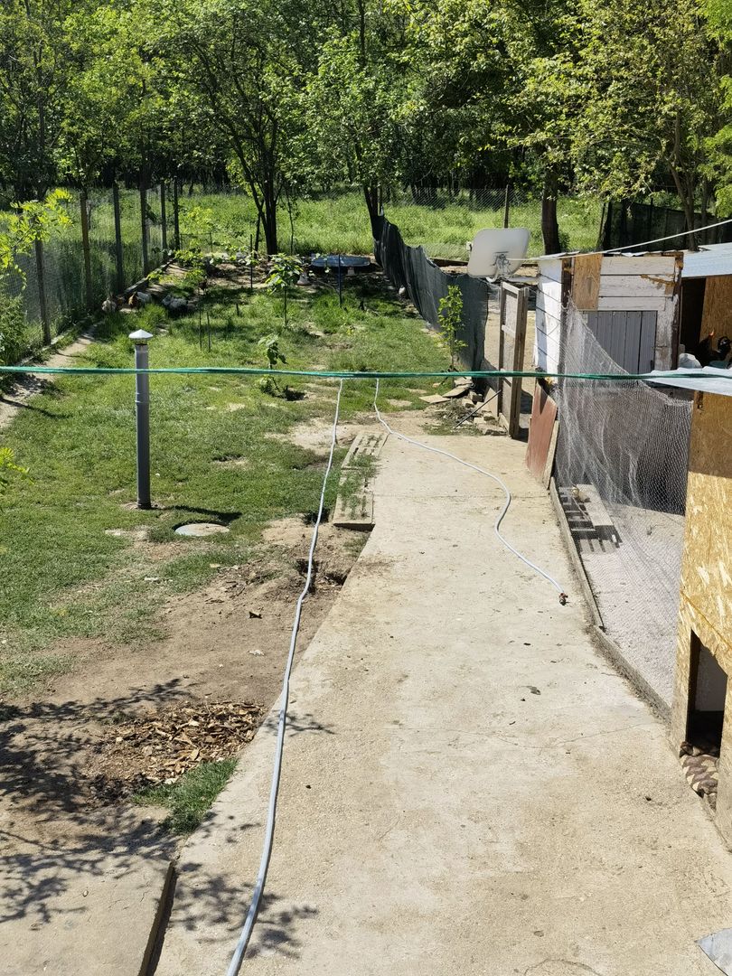 Casa Periam Port - Poză 14