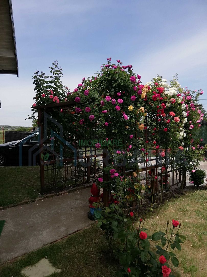 Parter la casa cu etaj, Mogosesti - Iasi, 10 km - Poză 2
