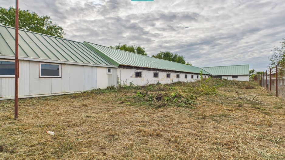 Hală pentru producție / fermă zootehnică  - Variaș - Poză 15