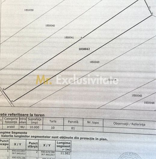 Teren 10000 mp - Albota Papillon, zona industriala in plina dezvoltare - Poză 3