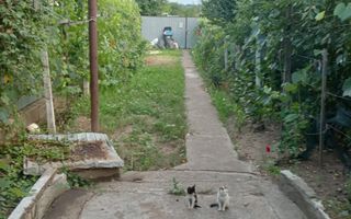 Casa de vanzare in Targu Trotus - Poză 2