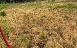 Teren 175 mp in Fratelia - Poză 3