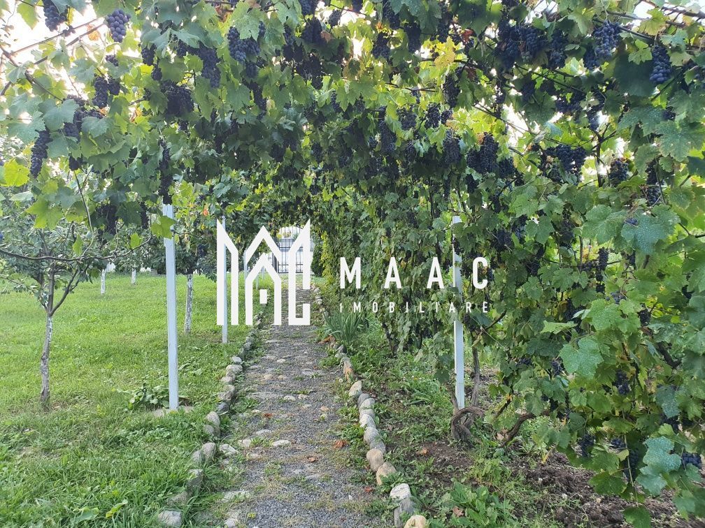 Teren Intravilan | 634 MP | Livada | Cisnadie - Poză 2