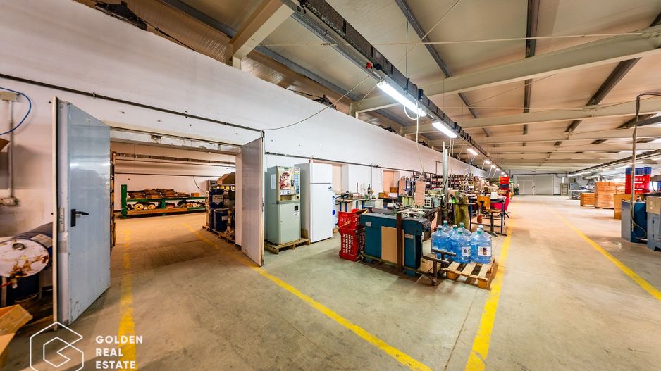 Hala industriala, Pecica, județul Arad - Poză 36