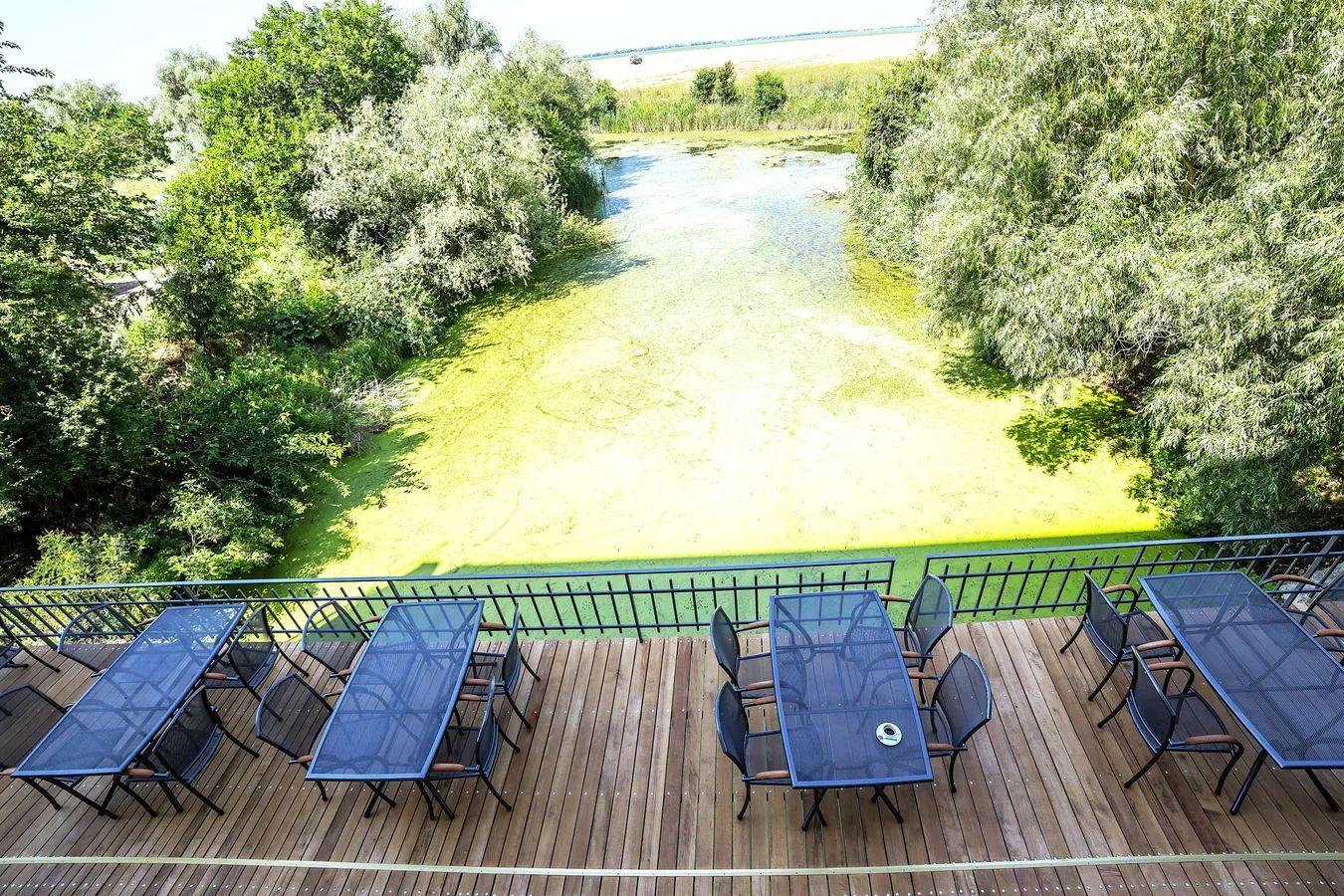 Oportunitate de investitie| Delta Dunarii |Mila 23| pensiune activa - Poză 21