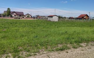 🌿 Teren de vânzare – Răcari, Str. Mestecenilor - Intrarea cu Tei - Poză 13
