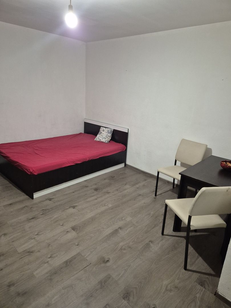 Garsoniera de închiriat- Brazdă lui Novac - Poză 3