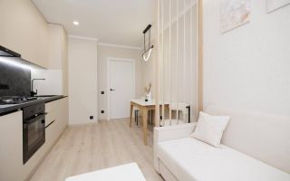 Vânzare, apartament, 1 cameră, strada Băcioii Noi, Botanica - Poză 4