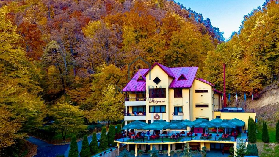 Pensiune Baia Mare - Poză 1