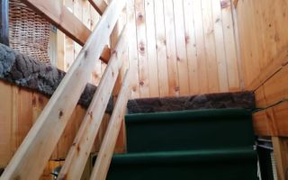 CASA 4 CAMERE, TEREN 290 MP, RUCAR, ARGES - Poză 11