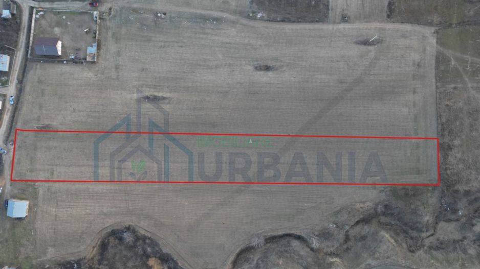 Teren Intravilan 5300 m2 - Poză 2