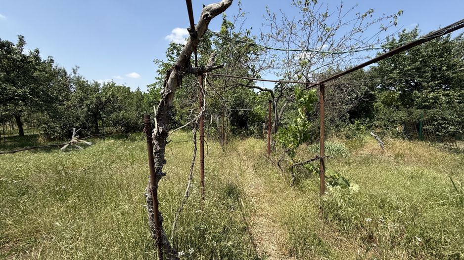 TEREN PENTRU CASA - Poză 2