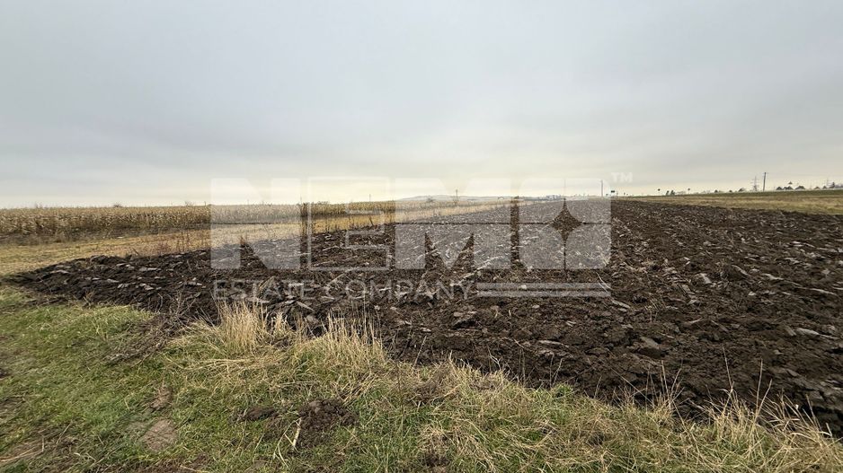 Parcela teren agricol 50 Ari - Poză 5