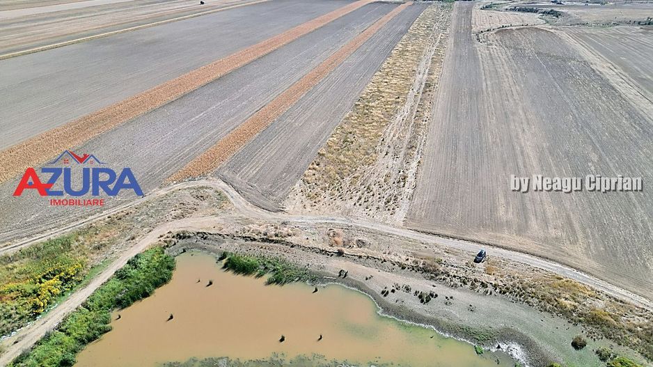 Teren agricol, 5HA, comasat, drum acces, Cateasca - Poză 8