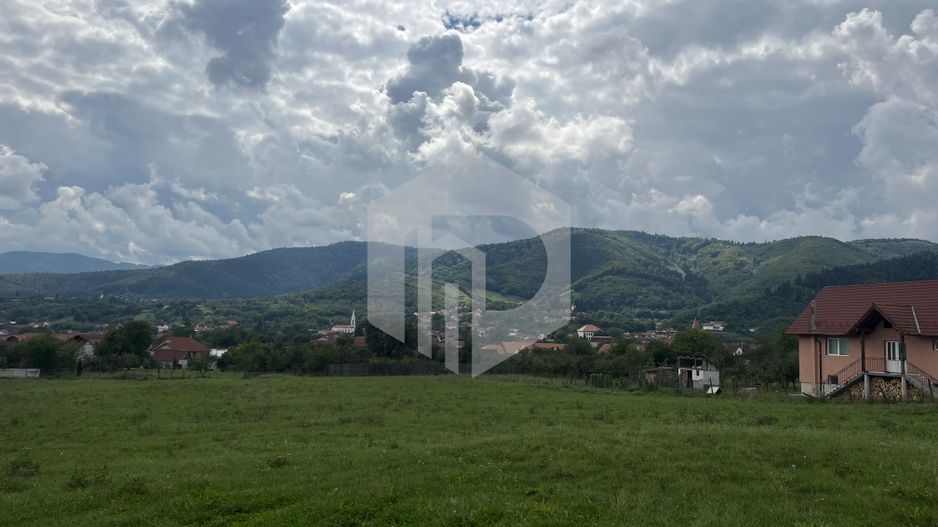 Teren pretabil investitie cabana in Saliste-7000 mp - Poză 2