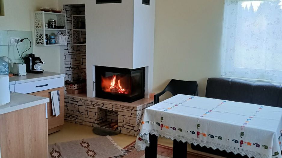 De vanzare teren cu cabana in Smida - Poză 3