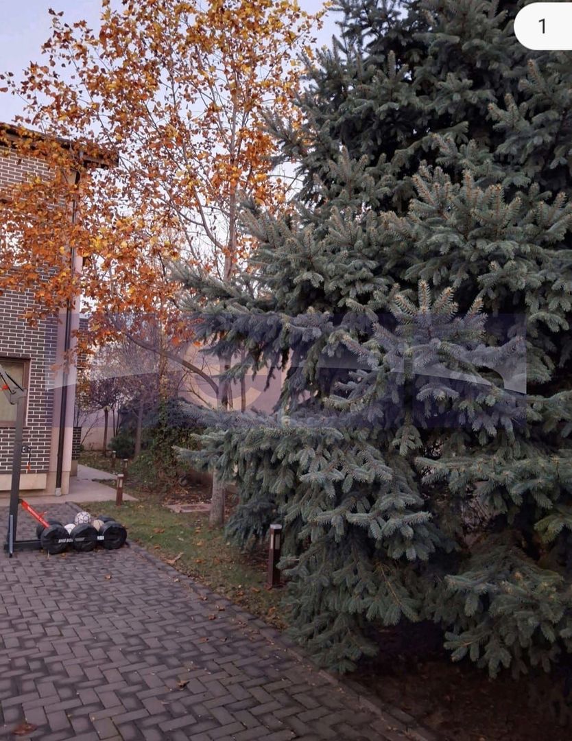 VANZARE CASA P+1+M | ZONA TINERETULUI - Poză 21