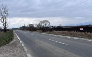 Teren 50000mp Extravilan-Intrare Halchiu-Cod 5235 - Poză 3