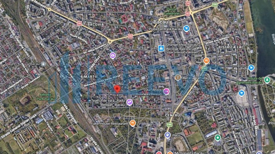 Spațiu comercial / casă individuală de închiriat, Str. Vasile Alecsandri, Bacău - Poză 20