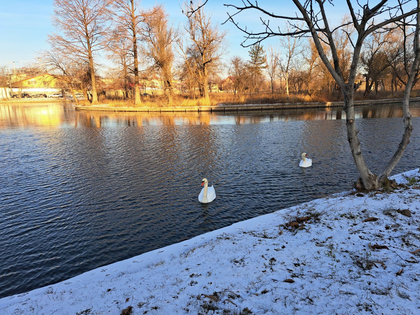 Teren intravilan 340 mp - Parcul Plumbuita - Poză 11