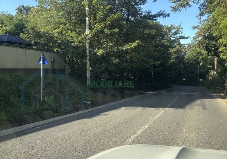 Teren pădure 3650 mp cu deschidere 42 m la Șos. Bârnova, ideal investiție pe termen mediu și lung - Poză 3