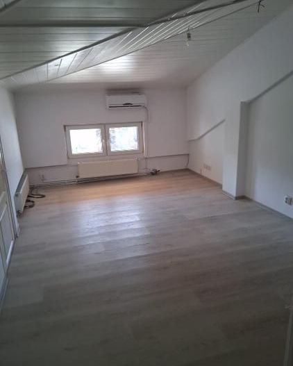 Vila D+P+M; ideal firma Tineretului - Poză 16