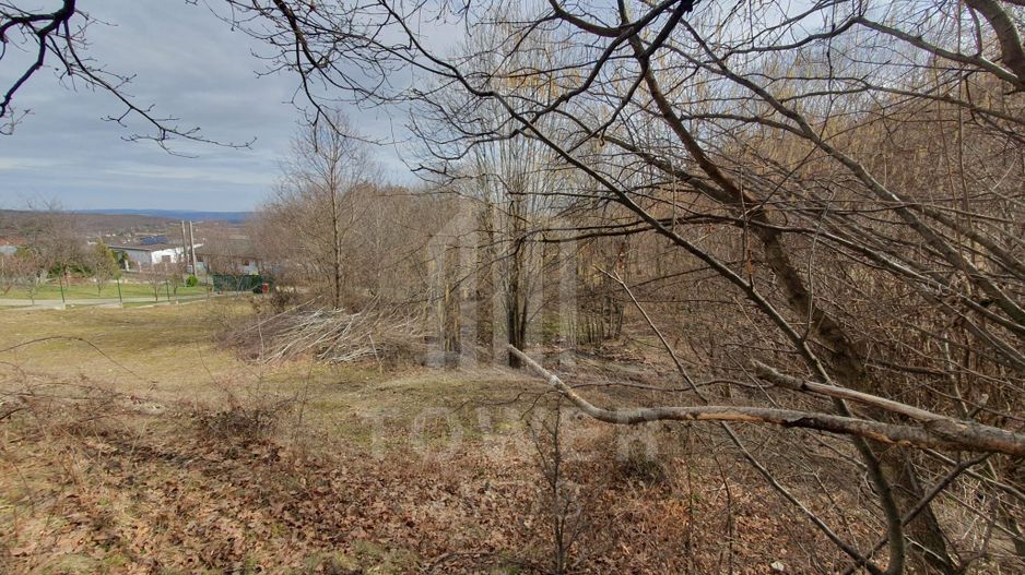 Teren Intravilan 2.938 mp | Tocile - Poză 10