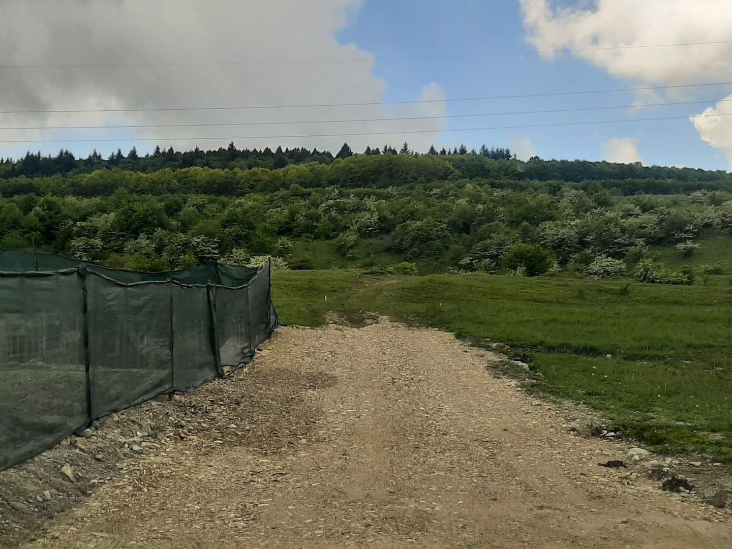 Teren in Valcele - Poză 2