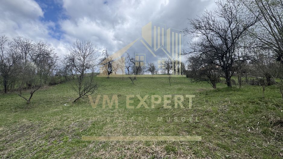 TEREN INTRAVILAN 4365 MP POENARII DE MUȘCEL  JUDEȚUL ARGES - Poză 1