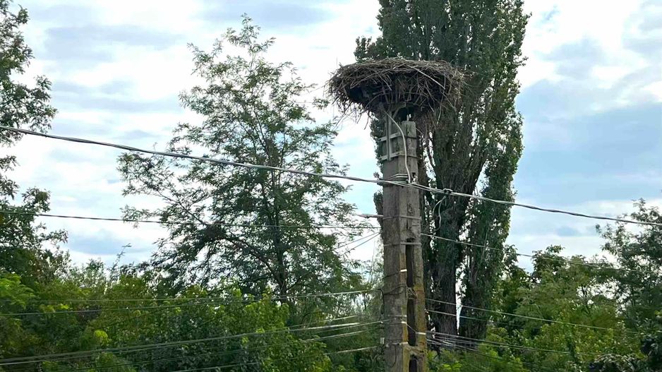 Vila Dragomiresti-Vale 167mp | 1.015mp teren - Poză 14