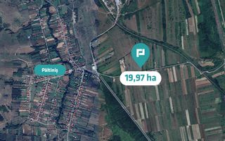 Teren extravilan agricol de 20 ha lângă Caransebes - Poză 3