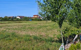 5000 mp teren parcelabil la strada asfaltata, APROAPE DE KAUFLAND. - Poză 5