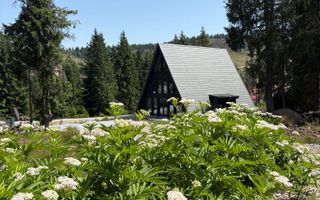 Cabana A Frame | Vartop | Bihor - Poză 1
