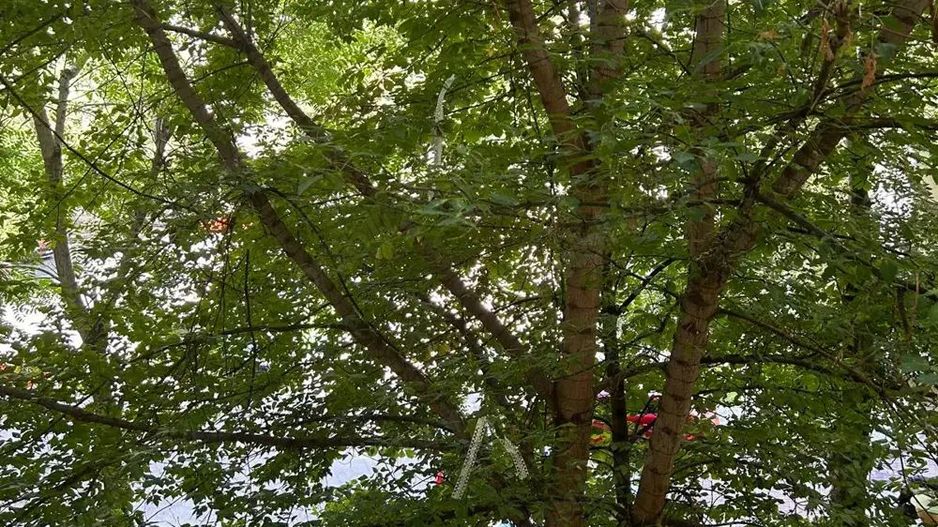 COMISION 0 Apartament 3 camere Biblioteca Nationala T572 - Poză 10