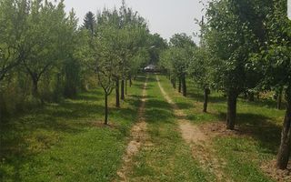 Vand schimb casa, teren Viile Satu Mare cu apartament, casa cu si fara  diferenta - Poză 3