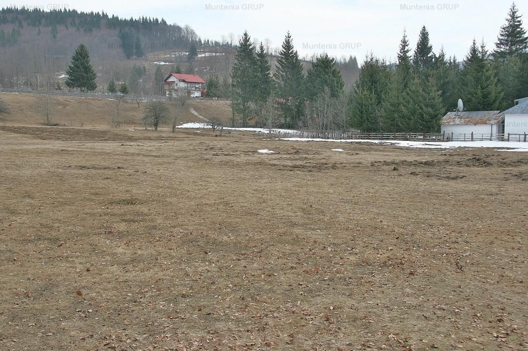 VALEA DOFTANEI - Traisteni, langa Conacul Dascalu, vanzare 2.537 mp. teren - Poză 8