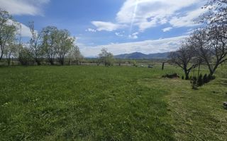 Teren 5400 mp superb cu livada si vedere spre munti Orlat - Poză 10