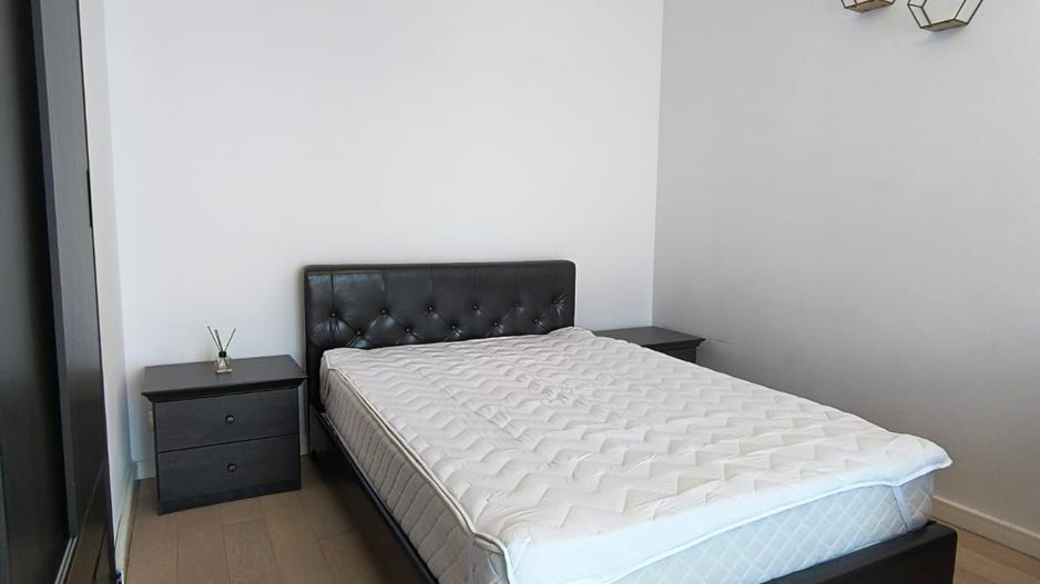 Ion Mihalache- Pta 1 Mai - Victoriei - Poză 2