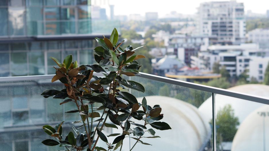 Apartament 3 camere cu vedere panoramică | UpSite, Floreasca - Poză 11
