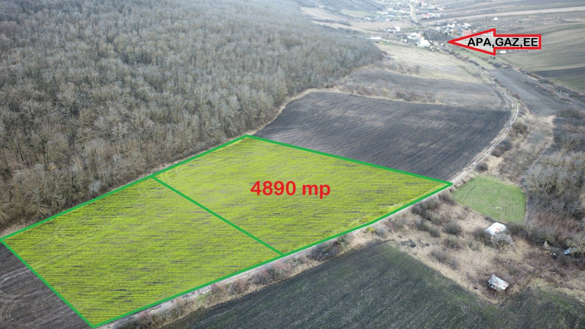 Teren intravilan 5.000 mp, VASLUI zona GURA BUSTEI; - Poză 1