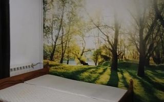 Apartament cu 3 camere in zona Nerva Traian - Poză 6