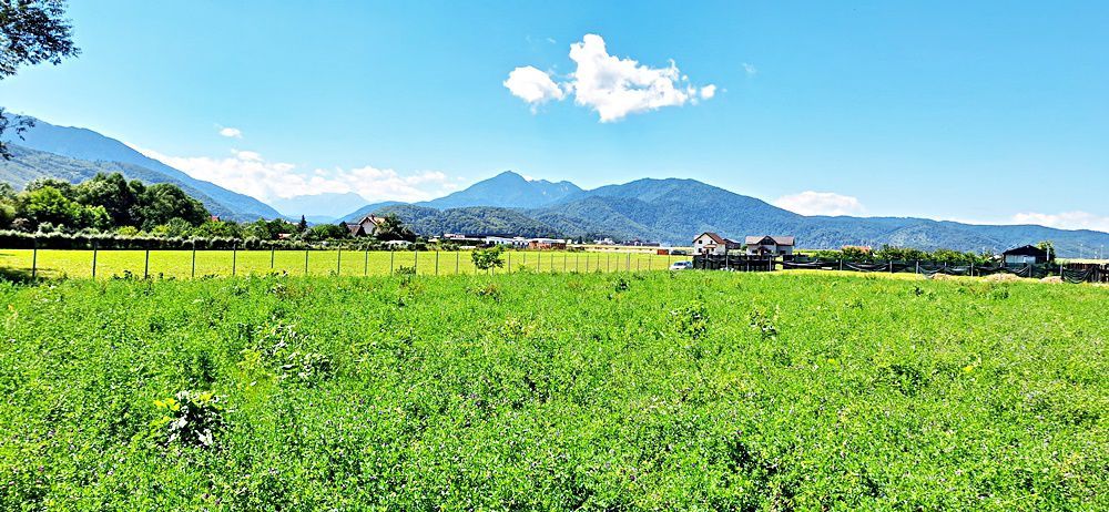 Sacele, teren intravilan 1386 mp, parau, priveliste superba, 45 euro/mp - Poză 14