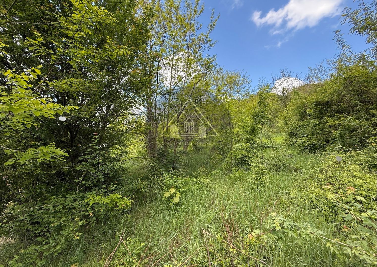 Teren constructii Medias - Poză 4