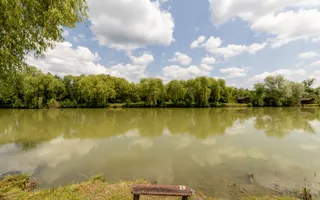 Afacere la cheie - domeniu cu lacuri de pescuit  - Sat Bunești, Com. Malureni - Poză 11