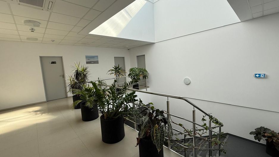 Spațiu industrial de închiriat – Drumul între Tarlale, Sector 3 - Poză 23