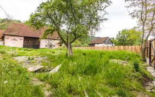 Casa traditionala + 8.500 mp teren, intravilan, Sinca Noua, Brasov - Poză 7