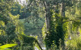 Vanzare teren intravilan, deschidere la lac | 1000 mp | Pipera - Poză 2