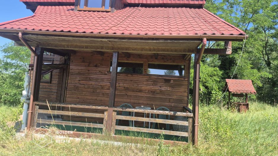 Casa de vacanta in comuna Sistarovat - Poză 2