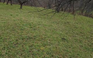 Teren 3966 mp-2 deschideri-curent-investitie-Budacu de Jos - Poză 4