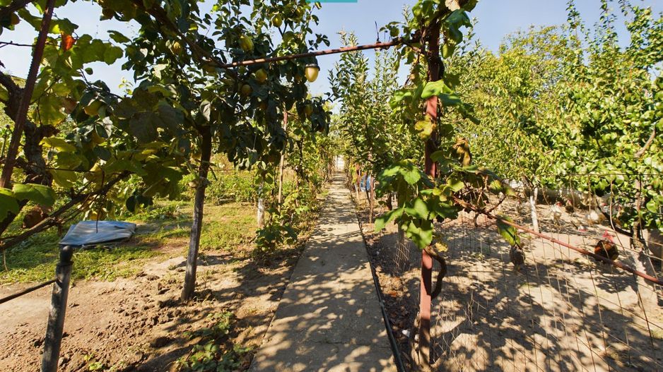 Casă cu multiple destinatii in Pârneava - Poză 10